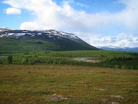 Abisko Juni 2009 dag 3 - 22.jpg